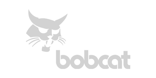 bobcat